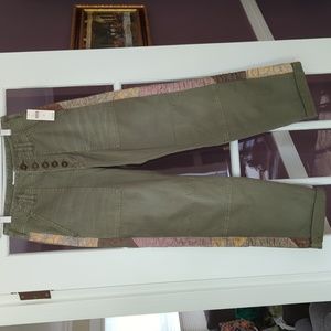 NWT Anthropologie Wanderer side stripe green pants size 26